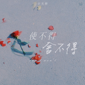 使不得 舍不得－伴奏
