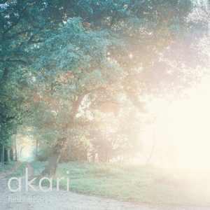 akari