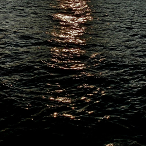 Talking to oneself（WAGWAN remix）