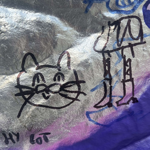 про кота и шалаву