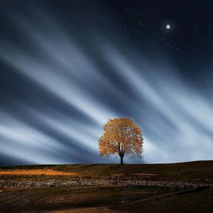 Restful Spirits