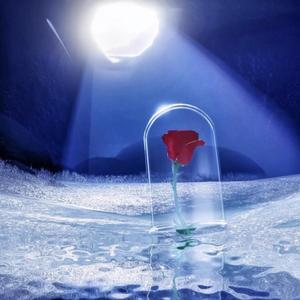 玫瑰少年-光遇高音钢琴（小落北子 remix）