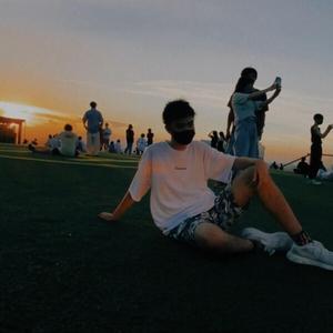 日本の夏
