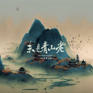 未见青山老