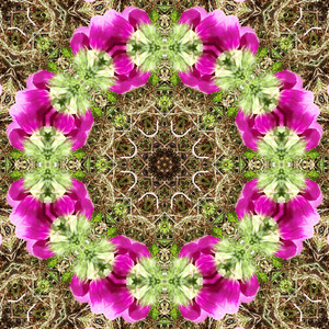 Binaural beats in the delta range have been associated with deep sleep and relaxation