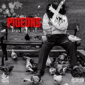 Pigeons