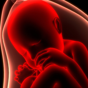 Baby White Noise - Loopable