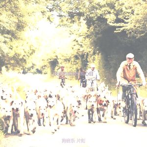 抚慰的可爱的狗回忆