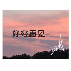 好好再见