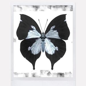 WRLD （prod by.Bubbleboi）