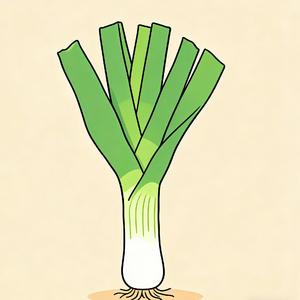 我是一棵葱（完整版）