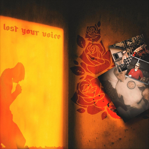 Lost Your Voice