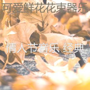 抚慰的情人节约会回忆