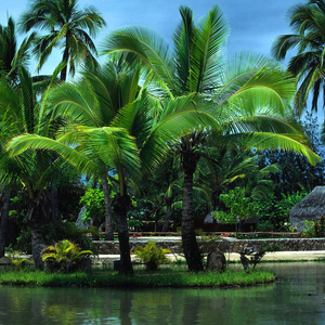 我爱北京天安门