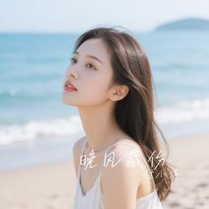 晚风藏伤