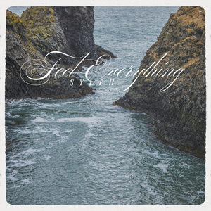 Feel Everything (Extended Mix)