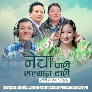 NECHA PARI SALYAN TARI | नेचा पारी सल्यान टारी