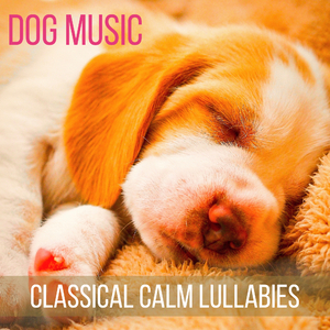 De Lune (Help Your Dog Relax)