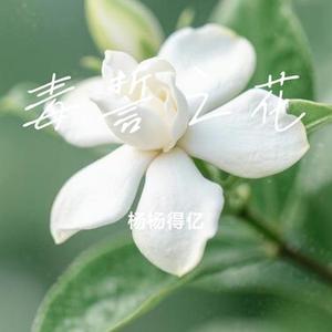 四季诺言