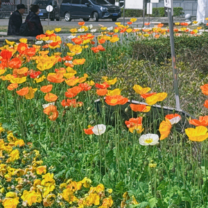 透析人生，未来可期