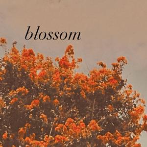 Blossom