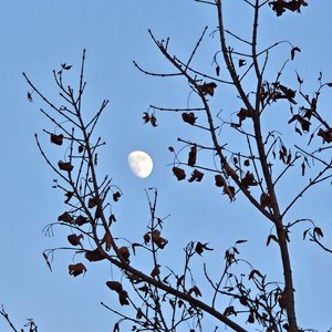 晨露凝结草尖上