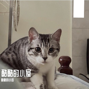 群星-隐身 -（Cover:)（酷酷的小岳 remix）