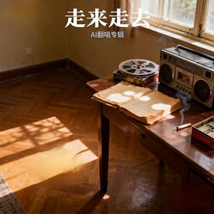 流浪的孩子
（AI 翻唱）