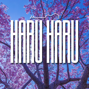 Haru Haru
