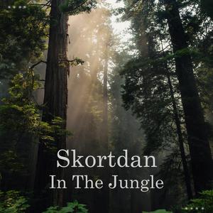 In The Jungle (Original Mix) (Original Mix)