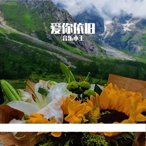 爱你依旧1 伴奏