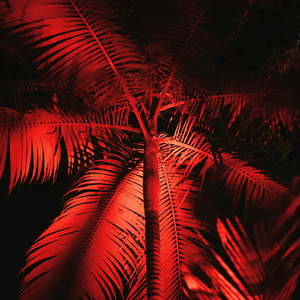 Linen