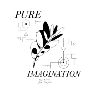 Pure Imagination （Vuro Cover）（feat. QingGui）