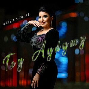 Toy Aydymy