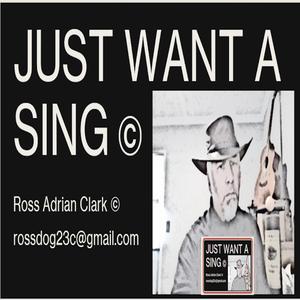 JUST WANT A SING