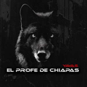 El Profe de Chiapas