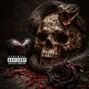 Dondadda (feat. Shredgang Mone)