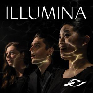 Illumina le tenebre • Live