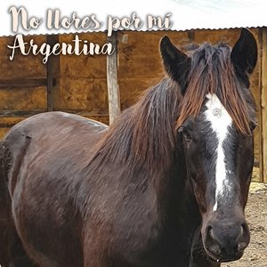 No Llores Por Mí Argentina (Cover)