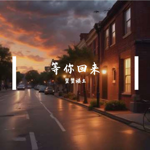 等你回来