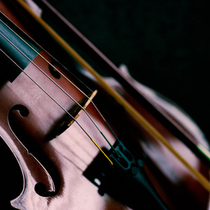 Tranquil Moods Ease Stress