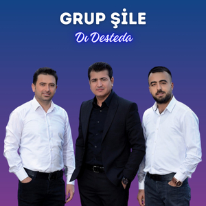Dı Desteda