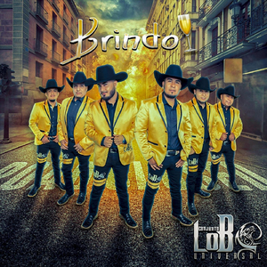 Brindo