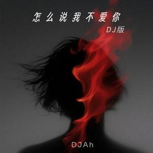 怎么说我不爱你(DJAh)伴奏