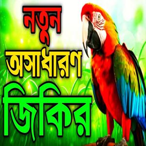 নতুন অসাধারণ জিকির ll নবীর ভালোবাসার জিকির ll প্রাণ জুড়ানো আল্লাহর প্রেমের জিকির ll নিউ জিকির