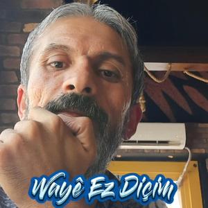 WAYE EZ DIÇIM