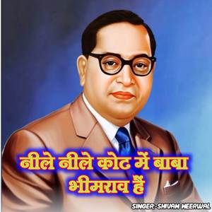 नीले नीले कोट में बाबा भीमराव हैं