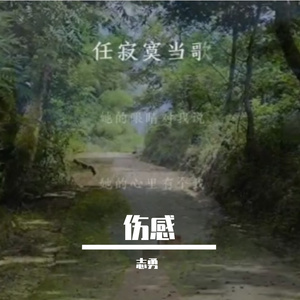 志勇-啊啊（志勇 remix）