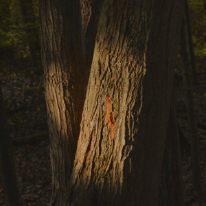 It is cold like before but you are gone (demo 2025)