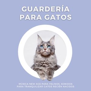 Gatos Estresados